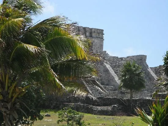 Playacar Beach House 10 Pax! The Best Location In Playa! By Bookhap Playa del Carmen 0*,