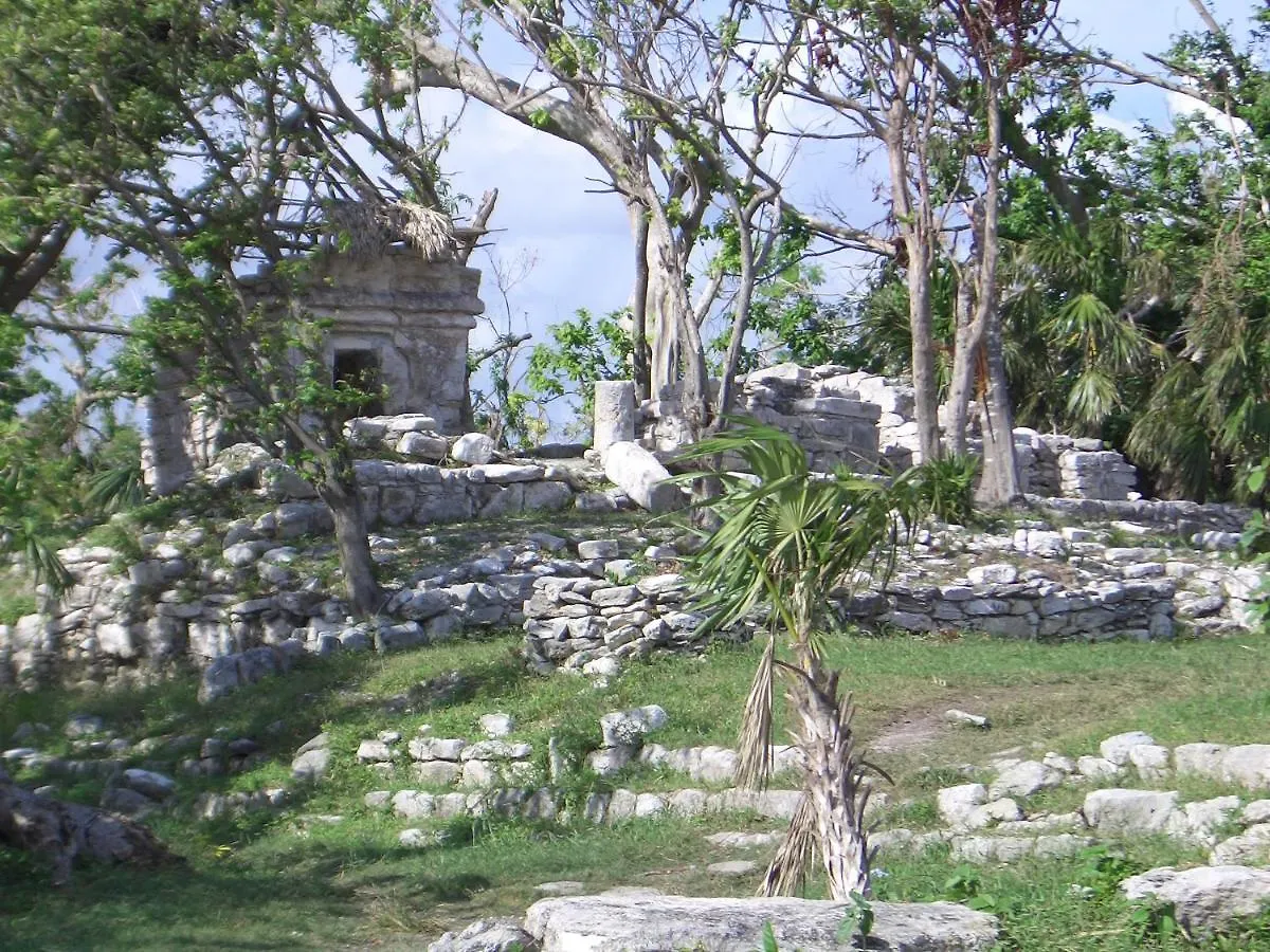 Villa Playacar Beach House 10 Pax! The Best Location In Playa! By Bookhap Playa del Carmen